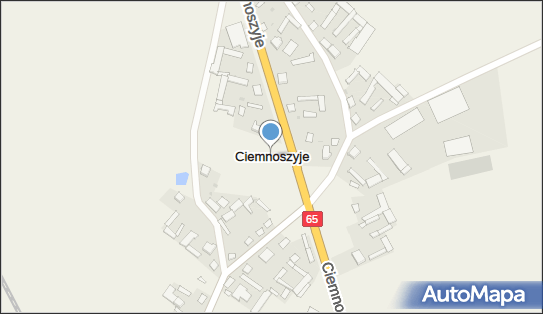 Ciemnoszyje, Ciemnoszyje - Inne