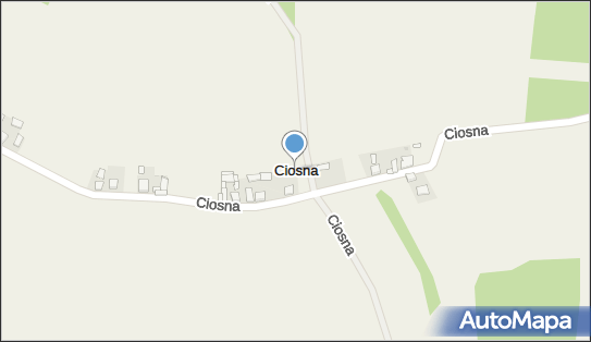 Ciosna (województwo wielkopolskie), Ciosna - Inne