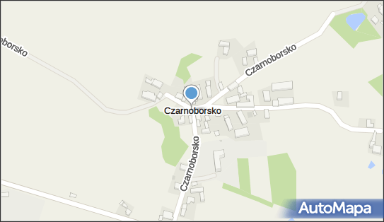 Czarnoborsko, Czarnoborsko - Inne