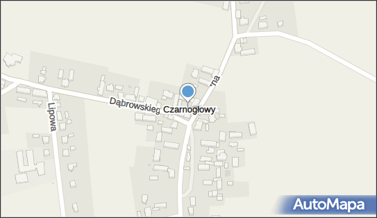 Czarnogłowy, Czarnogłowy - Inne