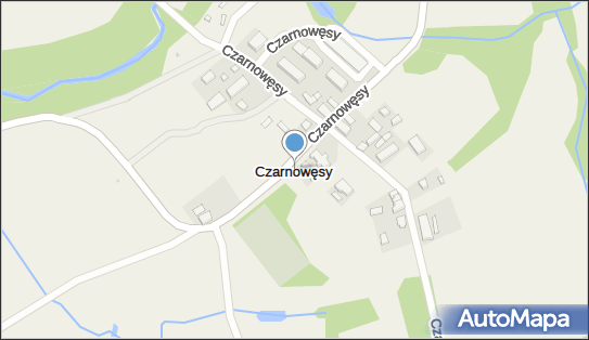 Czarnowęsy, Czarnowęsy - Inne