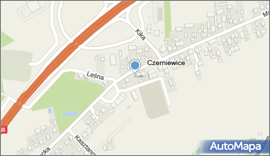 Czerniewice (województwo łódzkie), Mazowiecka 35, Czerniewice 97-216 - Inne