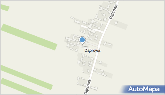 Dąbrowa (gmina Lubochnia), Dąbrowa, Dąbrowa 97-217 - Inne
