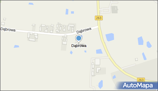 Dąbrowa (powiat koniński), Dąbrowa - Inne