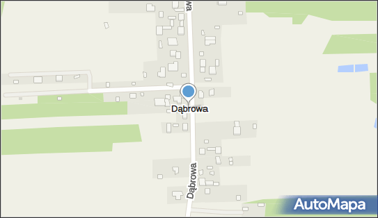 Dąbrowa (powiat pabianicki), Dąbrowa - Inne