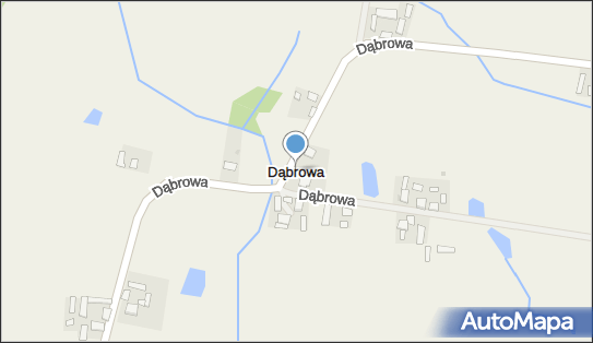 Dąbrowa (powiat sępoleński), Dąbrowa - Inne