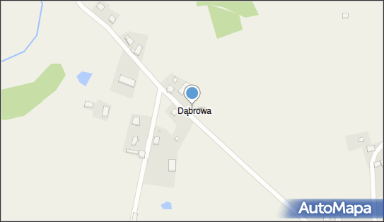 Dąbrowa Puzdrowska, Dąbrowa - Inne