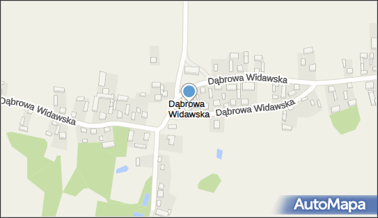 Dąbrowa Widawska, Dąbrowa Widawska - Inne