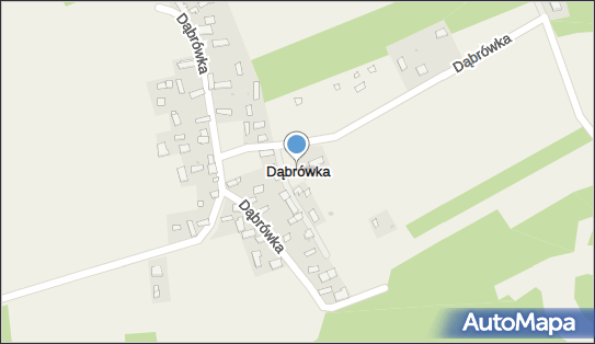 Dąbrówka (gmina Moskorzew), Dąbrówka - Inne