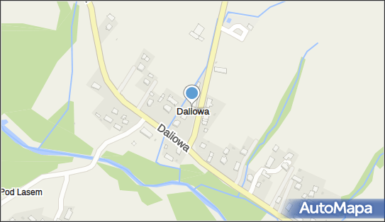 Daliowa, Daliowa - Inne