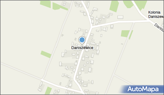 Daniszewice, Daniszewice - Inne