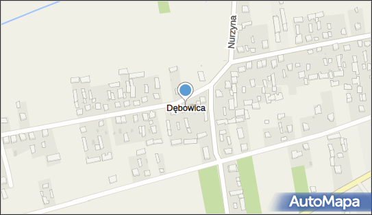 Dębowica, Dębowica - Inne