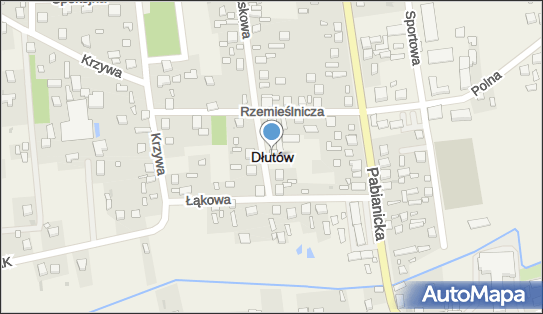 Dłutów, Dłutów - Inne