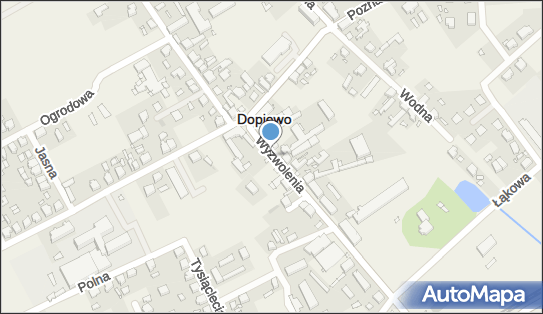 Dopiewo, Wyzwolenia, Dopiewo 62-070 - Inne