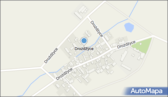 Drożdżyce, Drożdżyce - Inne