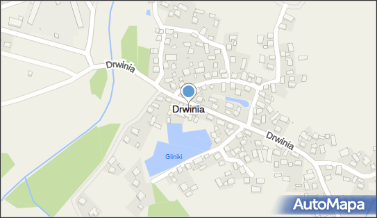 Drwinia, Drwinia - Inne