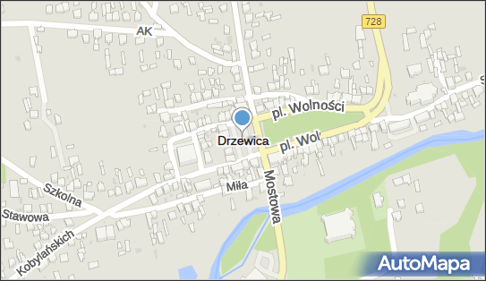 Drzewica (województwo łódzkie), Drzewica - Inne