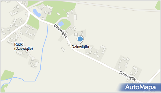 Dziewiątle, Dziewiątle - Inne