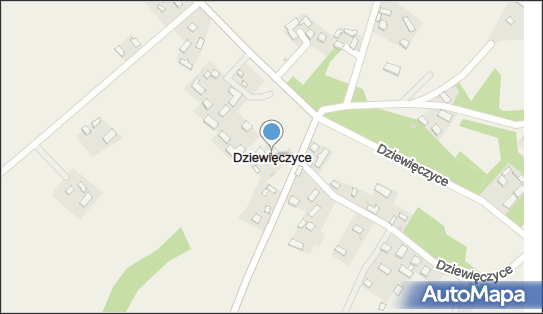 Dziewięczyce, Dziewięczyce - Inne