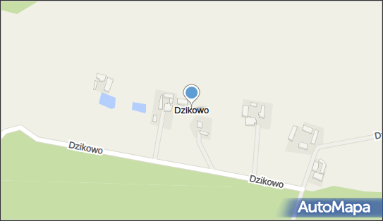 Dzikowo (powiat gorzowski), Dzikowo - Inne