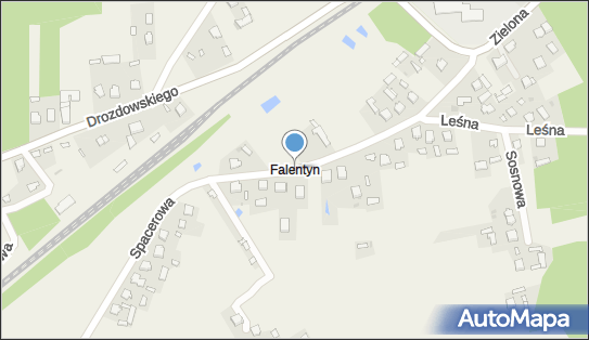 Falentyn, Spacerowa, Leopoldów 08-500 - Inne