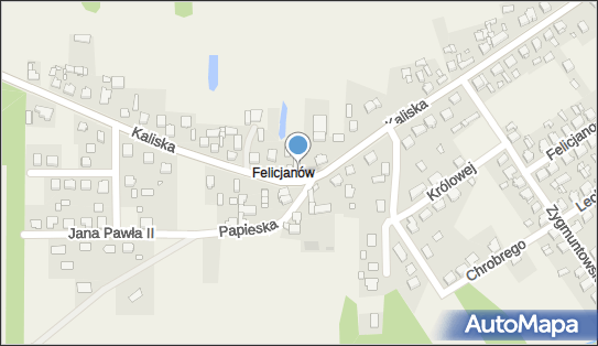 Felicjanów (powiat turecki), Kaliska 4, Władysławów 62-710 - Inne