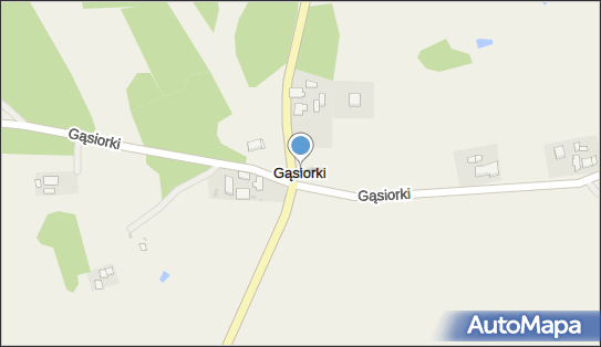 Gąsiorki, Gąsiorki - Inne