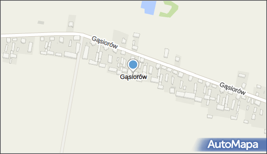 Gąsiorów (powiat jarociński), Gąsiorów - Inne