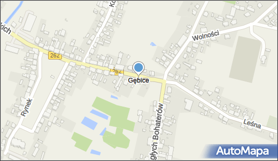 Gębice (województwo kujawsko-pomorskie), Gębice - Inne