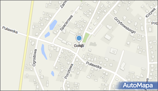 Gołąb (powiat puławski), Gołąb - Inne