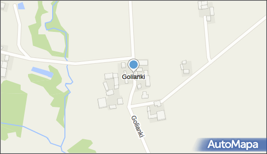 Golianki, Golianki - Inne