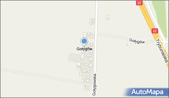 Gołygów, Gołygów - Inne