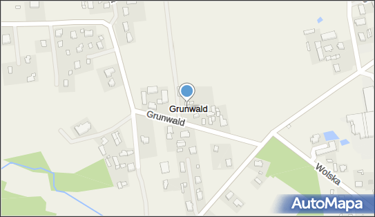 Grunwald (województwo łódzkie), Grunwald - Inne