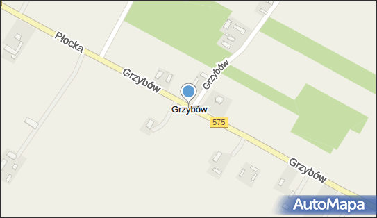 Grzybów (powiat kozienicki), Grzybów - Inne