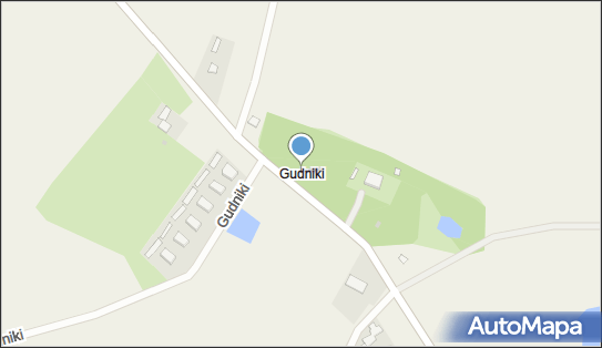 Gudniki (powiat ostródzki), Gudniki - Inne