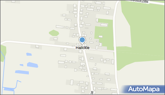 Halickie, Halickie - Inne