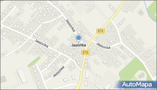 Jasionka (powiat rzeszowski), Jasionka - Inne