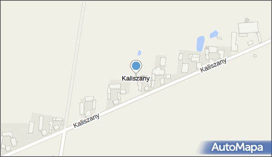 Kaliszany (województwo wielkopolskie), Kaliszany - Inne