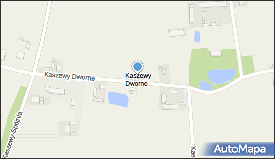 Kaszewy Dworne, Kaszewy Dworne - Inne