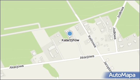 Katarzynów (powiat zgierski), Katarzynów - Inne