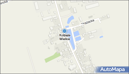 Kobiele Wielkie, Kobiele Wielkie - Inne