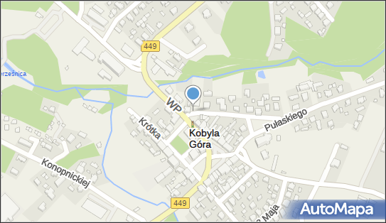 Kobyla Góra (województwo wielkopolskie), Kobyla Góra 63-507 - Inne