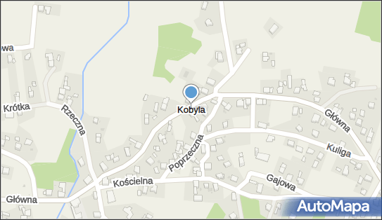 Kobyla (województwo śląskie), Kobyla - Inne