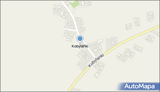 Kobylanki (województwo świętokrzyskie), Kobylanki - Inne