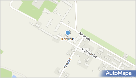 Kobylniki (powiat kościański), Kobylniki - Inne