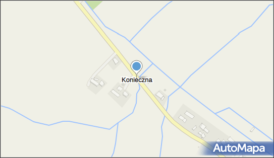 Konieczna, Konieczna - Inne