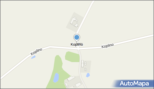 Koplino, Koplino - Inne