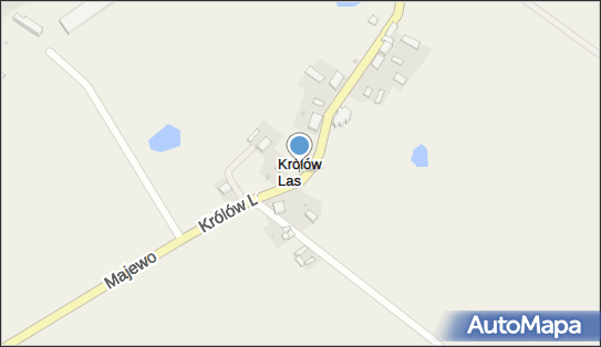 Królów Las, Królów Las - Inne