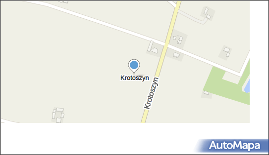 Krotoszyn (powiat radziejowski), Krotoszyn - Inne