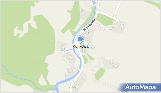 Kunkowa, Kunkowa - Inne